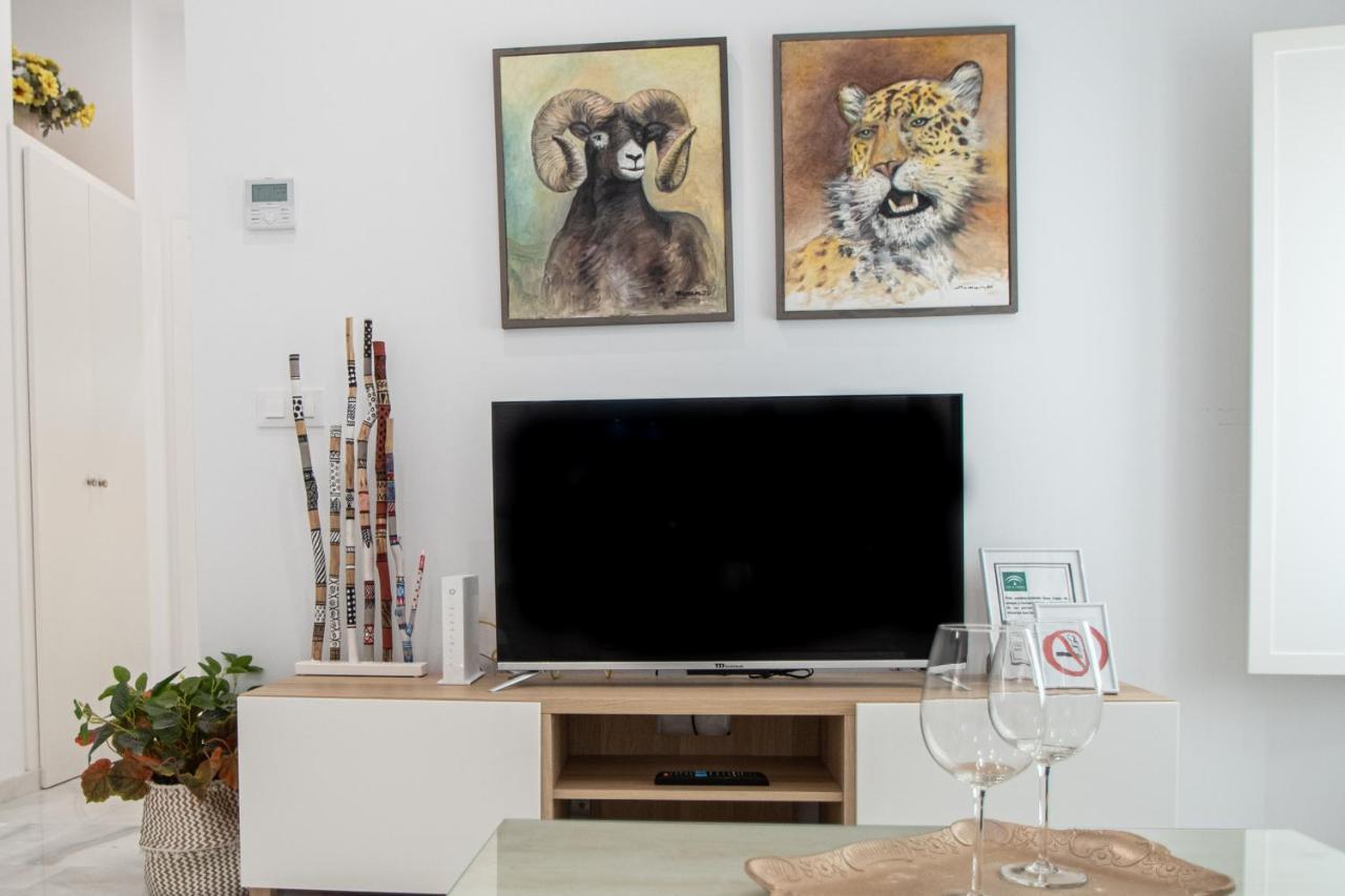 Apartamento Animalia Cádiz Exterior foto