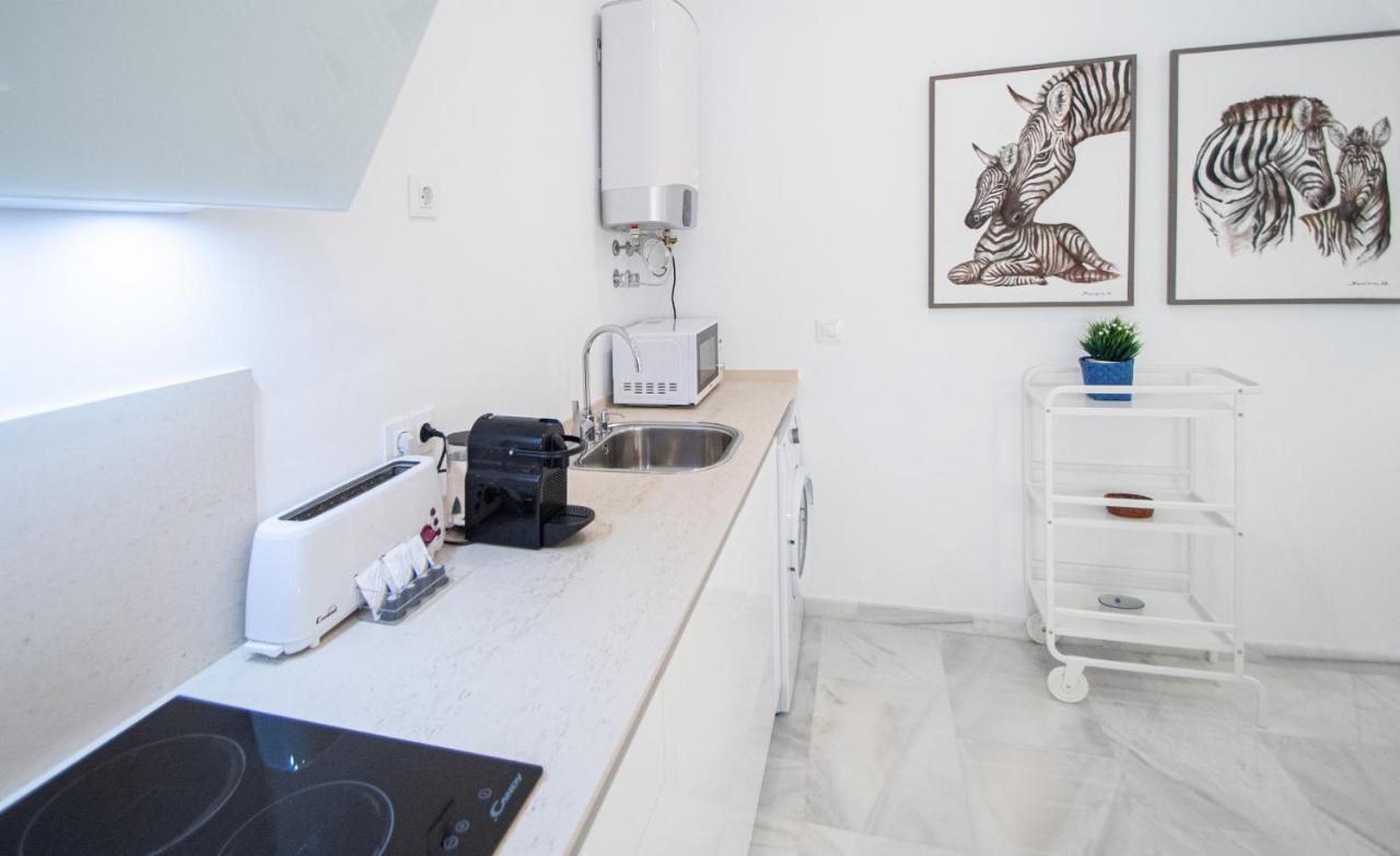 Apartamento Animalia Cádiz Exterior foto