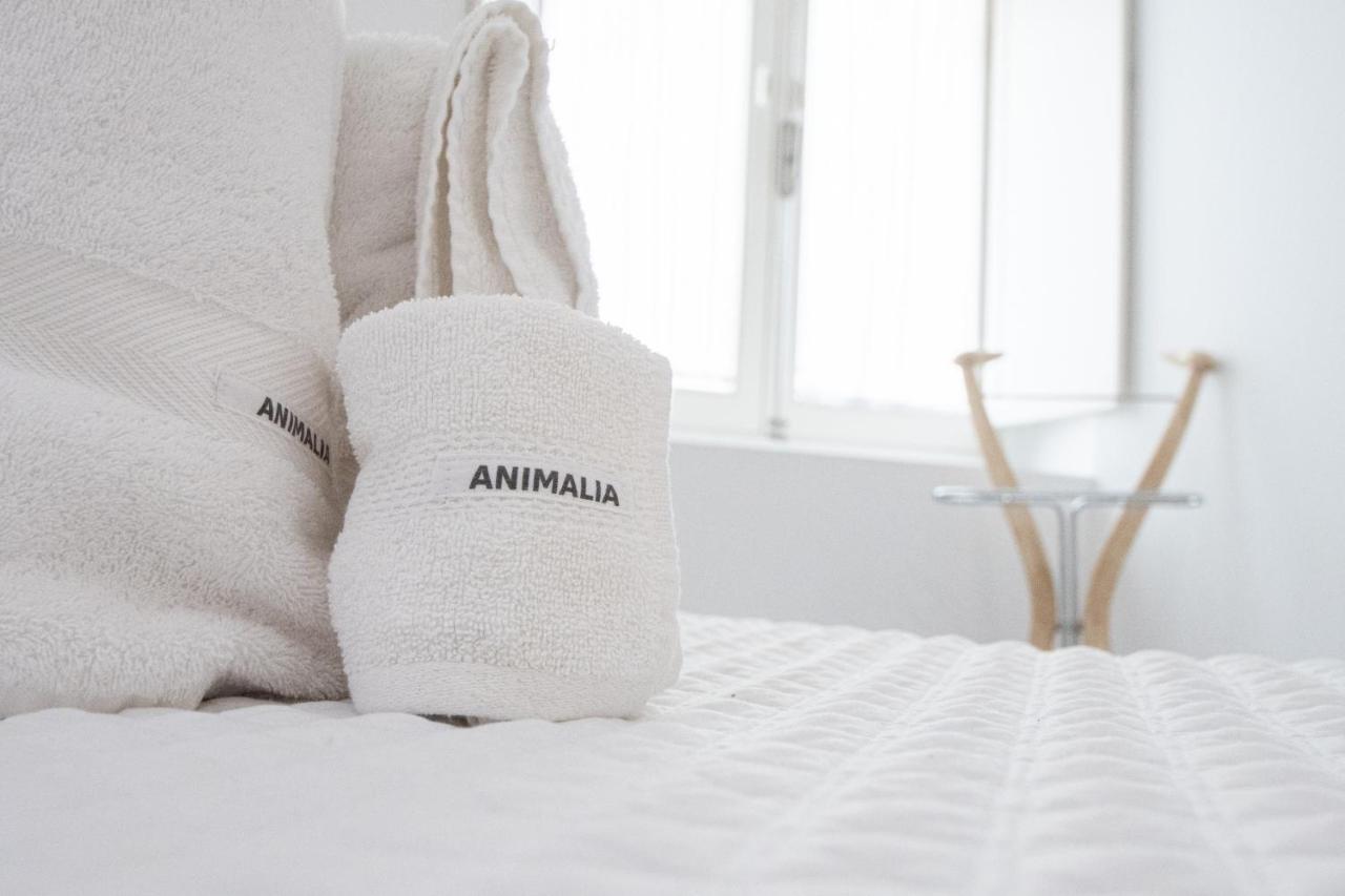 Apartamento Animalia Cádiz Exterior foto